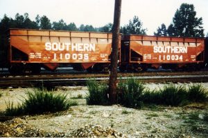 Southern Hopper 110035